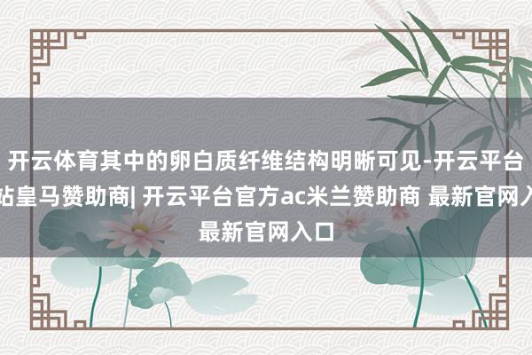 开云体育其中的卵白质纤维结构明晰可见-开云平台网站皇马赞助商| 开云平台官方ac米兰赞助商 最新官网入口
