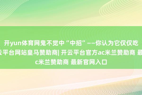 开yun体育网鬼不觉中“中招”——你认为它仅仅吃坏肚子-开云平台网站皇马赞助商| 开云平台官方ac米兰赞助商 最新官网入口