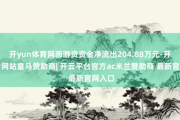 开yun体育网而游资资金净流出204.88万元-开云平台网站皇马赞助商| 开云平台官方ac米兰赞助商 最新官网入口
