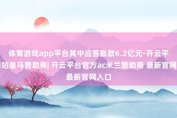 体育游戏app平台其中应答账款6.2亿元-开云平台网站皇马赞助商| 开云平台官方ac米兰赞助商 最新官网入口