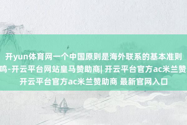 开yun体育网一个中国原则是海外联系的基本准则和海外社会大齐共鸣-开云平台网站皇马赞助商| 开云平台官方ac米兰赞助商 最新官网入口