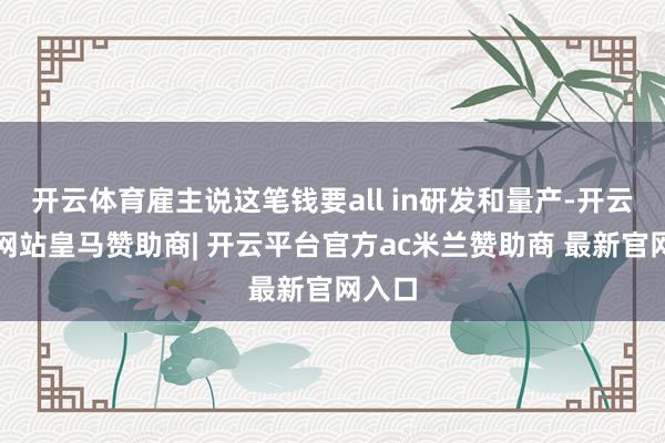开云体育雇主说这笔钱要all in研发和量产-开云平台网站皇马赞助商| 开云平台官方ac米兰赞助商 最新官网入口